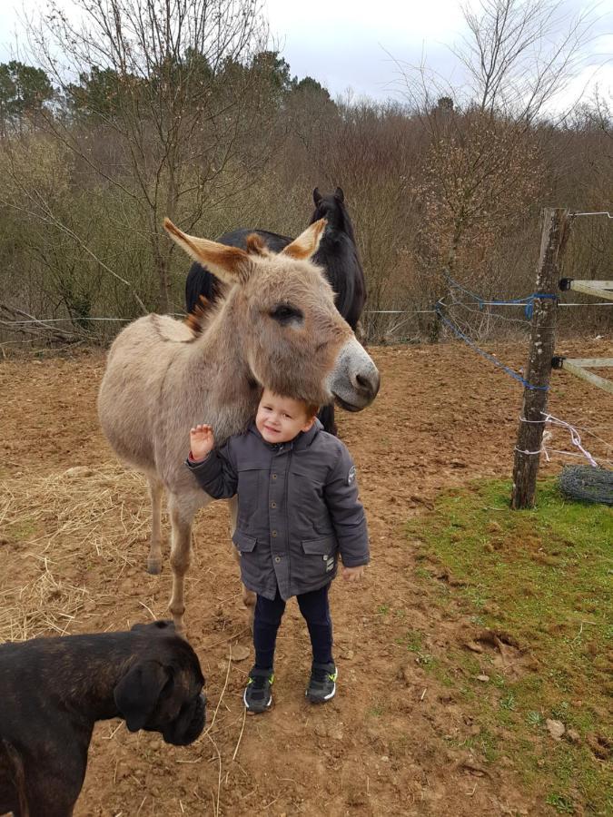 Gite Equestre Domaine Des Crins - Monpazier Capdrot Buitenkant foto