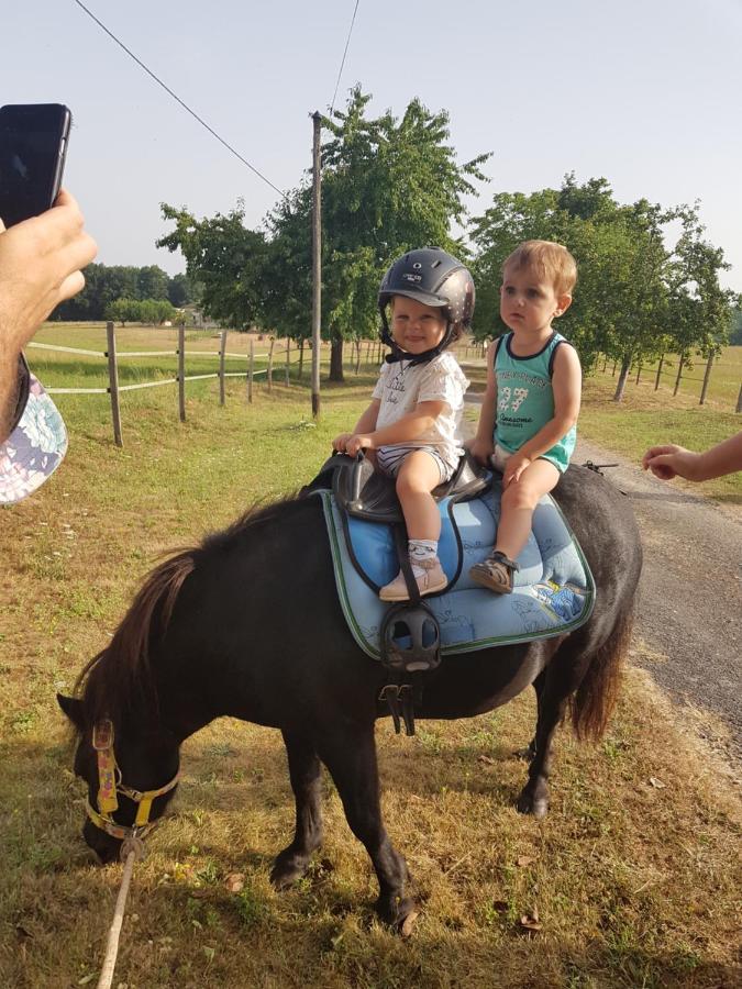 Gite Equestre Domaine Des Crins - Monpazier Capdrot Buitenkant foto