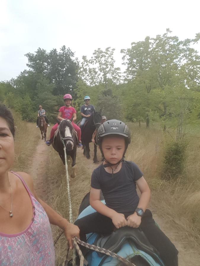 Gite Equestre Domaine Des Crins - Monpazier Capdrot Buitenkant foto