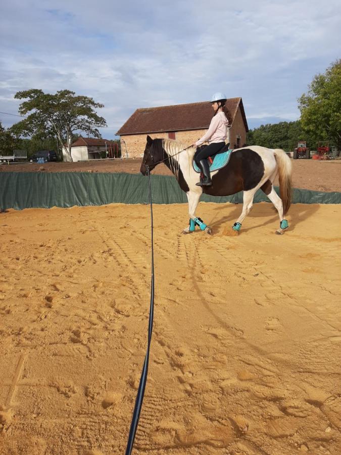 Gite Equestre Domaine Des Crins - Monpazier Capdrot Buitenkant foto
