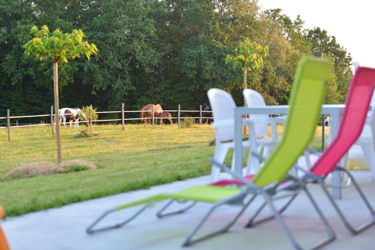 Gite Equestre Domaine Des Crins - Monpazier Capdrot Buitenkant foto