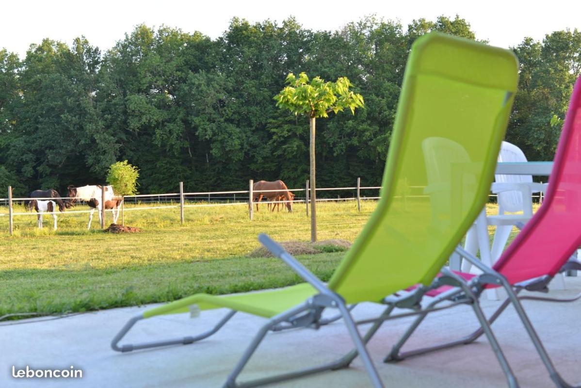 Gite Equestre Domaine Des Crins - Monpazier Capdrot Buitenkant foto